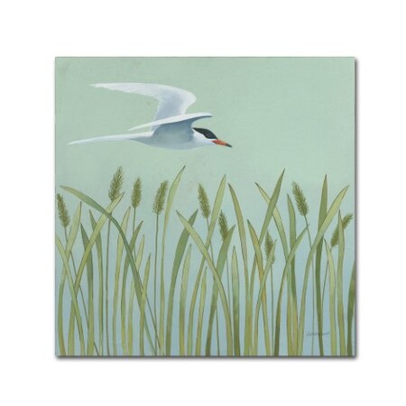 Trademark Fine Art Kathrine Lovell 'Free as a Bird I' Canvas Art, 18x18 WAP00702-C1818GG